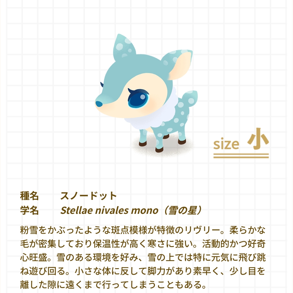 20250107070328-admin.jpg