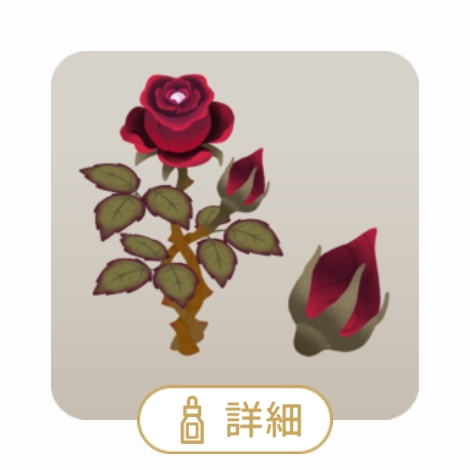 20250302130837-admin.jpg